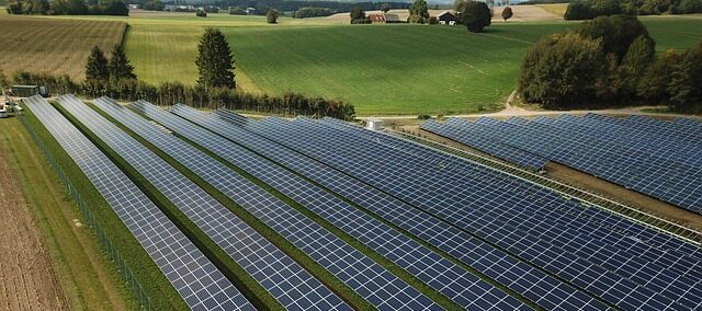 frumento agrivoltaico