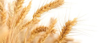 annata a due velocità