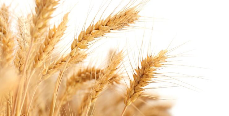 annata a due velocit&agrave;