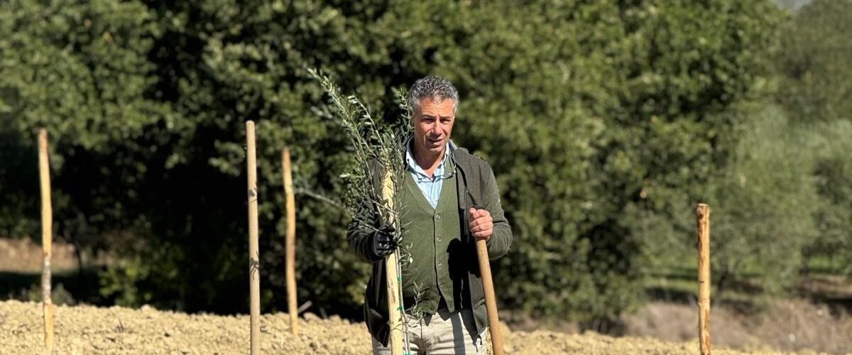 Il grano scivola dalla collina