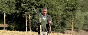 Il grano scivola dalla collina
