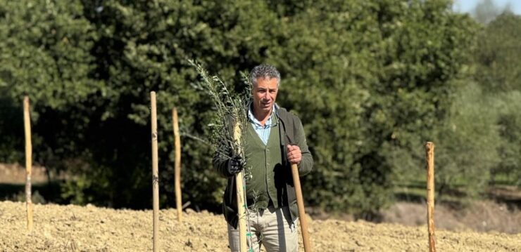 Il grano scivola dalla collina