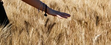 la stabilità vale più della resa
