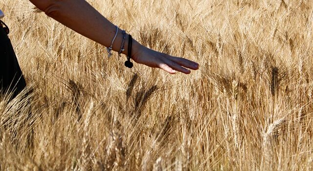 la stabilità vale più della resa